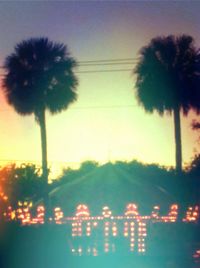 Palm trees against sky at sunset