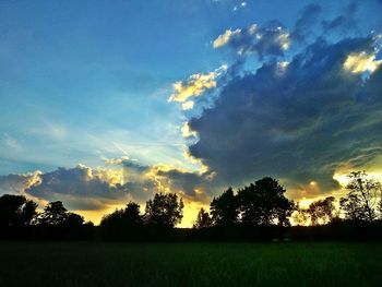 Silhouette trees on field against sky at sunset