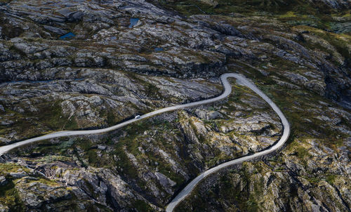 High angle view of road amidst plants