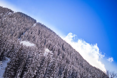 Close-up low angle view of blue sky