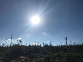 Scenic view of field against clear sky