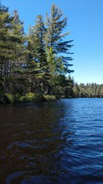 Scenic view of lake in forest against clear sky