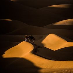 Shadow of a desert