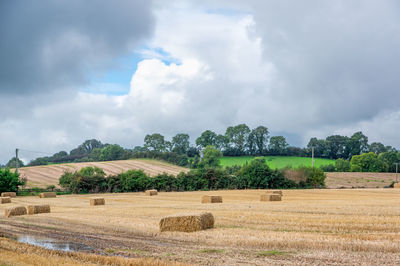 Hay bales on field against sky