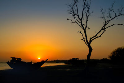 Silhouette bare trees against sky during sunset