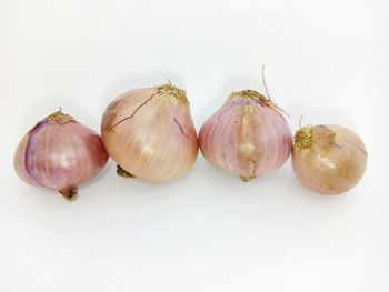 Close-up of eggs against white background