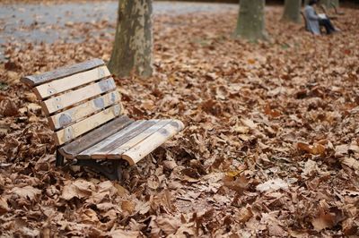 Empty bench in park