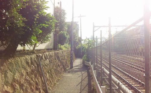 Narrow walkway along fence and trees