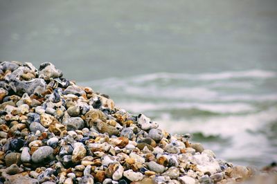 Stones on beach