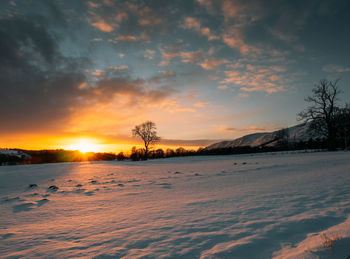 Scenic view of snow covered field against sky at sunset