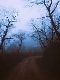 Road amidst trees against sky during foggy weather