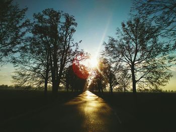 Road passing through forest