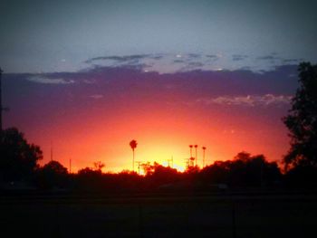 Silhouette of trees at sunset