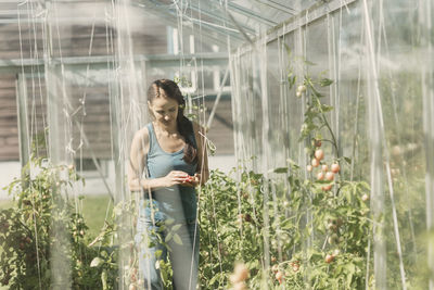 Female gardener holding vegetable while standing in greenhouse