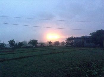 Scenic view of field against clear sky at sunset