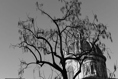 Low angle view of bare trees against sky