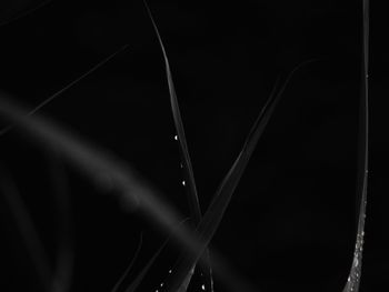 Full frame shot of illuminated lights