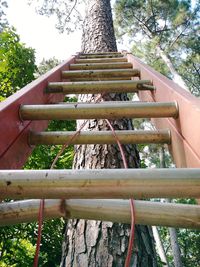 Low angle view of hanging from tree