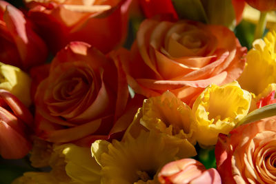 Close-up of fresh rose bouquet