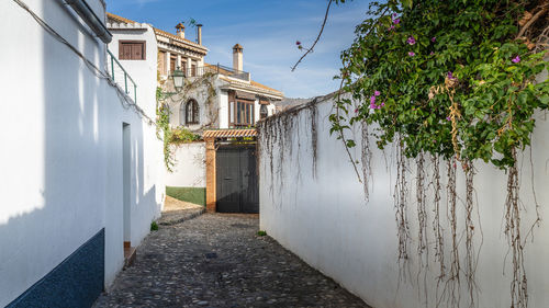 Buildings in city