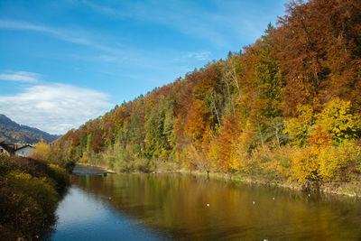 Scenic view of lake by trees against sky during autumn