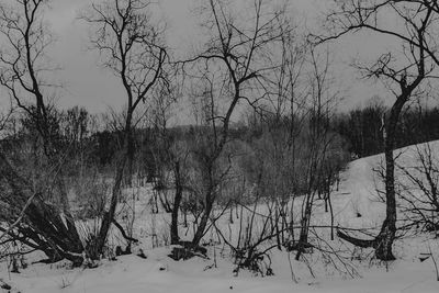 Bare trees on field during winter against sky