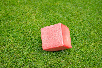 Red cube on the grass background