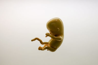 Close-up of figurine against white background