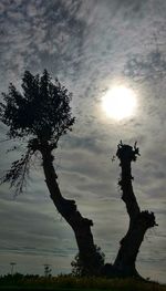 Low angle view of silhouette tree against sky during sunset