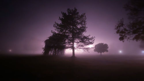 Silhouette trees on field against sky at night