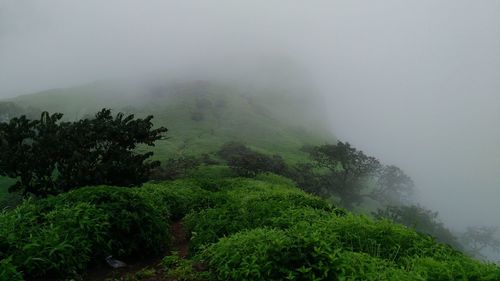 Scenic view of tree mountains against sky during foggy weather