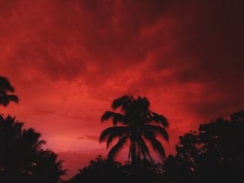 Low angle view of silhouette palm trees against sky at sunset