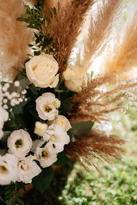 Close-up of white flowers