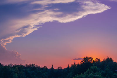 Silhouette trees against sky during sunset