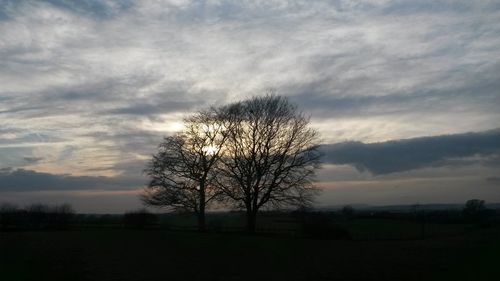 Bare trees on field against cloudy sky