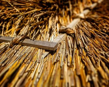 Full frame shot of wood