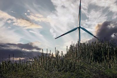 Wind turbines on field against sky