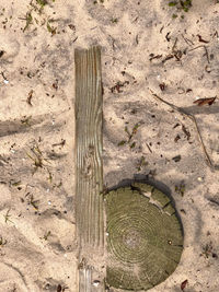 High angle view of tree stump on field