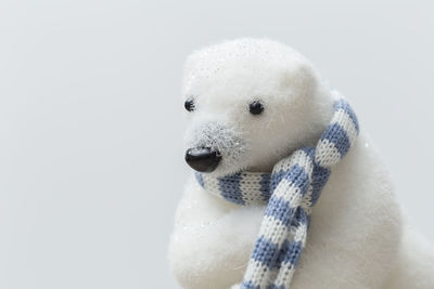 Close-up of snow on white background