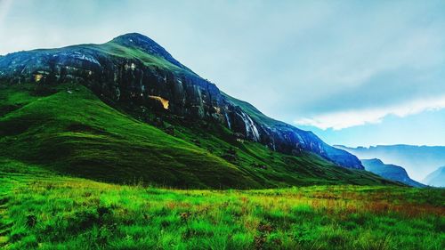 Scenic view of grassy field against sky