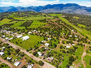 High angle view of trees and houses on field