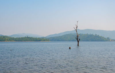 Scenic view of lake against clear sky