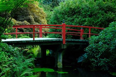 Footbridge in forest