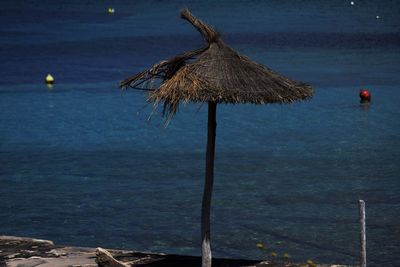 Bird perching on sea against sky