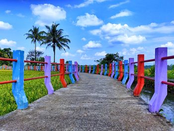 Footpath amidst trees against sky