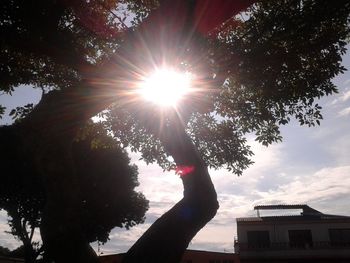 Low angle view of silhouette hand against tree