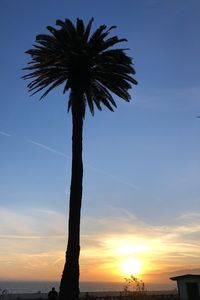 Silhouette palm trees against sky during sunset