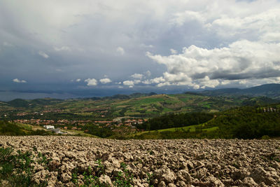 Scenic view of agricultural field against sky