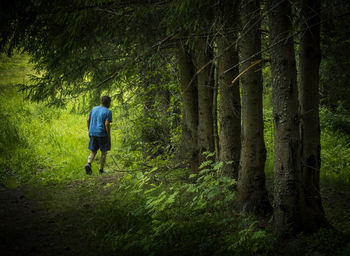 Rear view of man walking on grassy field in forest