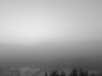 Scenic view of trees against sky during winter